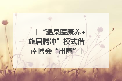 “温泉医康养+旅居腾冲”模式借南博会“出圈”