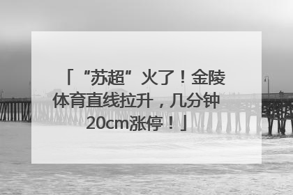 “苏超”火了！金陵体育直线拉升，几分钟20cm涨停！