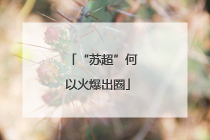 “苏超”何以火爆出圈