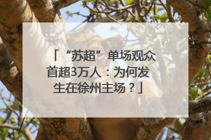 “苏超”单场观众首超3万人：为何发生在徐州主场？