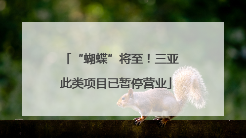 “蝴蝶”将至！三亚此类项目已暂停营业