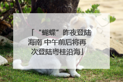 “蝴蝶”昨夜登陆海南 中午前后将再次登陆粤桂沿海