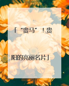 “贵马”！贵阳的亮丽名片