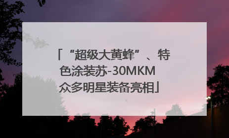 “超级大黄蜂”、特色涂装苏-30MKM 众多明星装备亮相