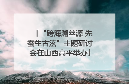 “跨海溯丝源 先蚕生古泫”主题研讨会在山西高平举办