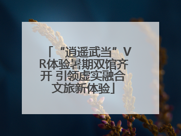 “逍遥武当”VR体验暑期双馆齐开 引领虚实融合文旅新体验