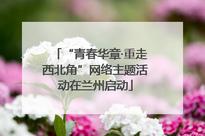 “青春华章·重走西北角”网络主题活动在兰州启动