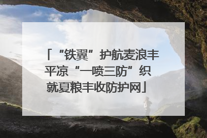 “铁翼”护航麦浪丰 平凉“一喷三防”织就夏粮丰收防护网