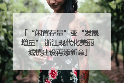 “闲置存量”变“发展增量” 浙江现代化美丽城镇建设再添新意