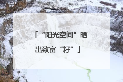 “阳光空间”晒出致富“籽”