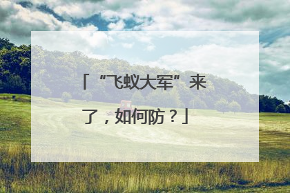 “飞蚁大军”来了，如何防？