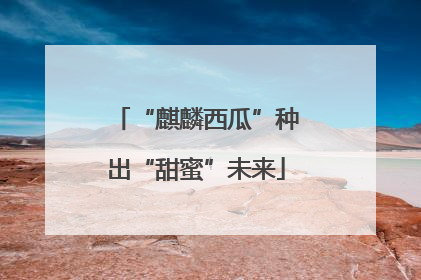 “麒麟西瓜”种出“甜蜜”未来