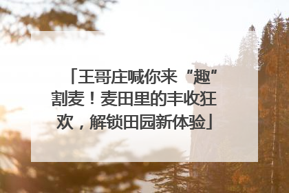 王哥庄喊你来“趣”割麦！麦田里的丰收狂欢，解锁田园新体验