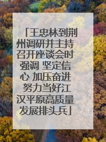 王忠林到荆州调研并主持召开座谈会时强调 坚定信心 加压奋进 努力当好江汉平原高质量发展排头兵