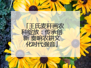 王氏麦秆画农科绽放：传承创新 奏响农耕文化时代强音