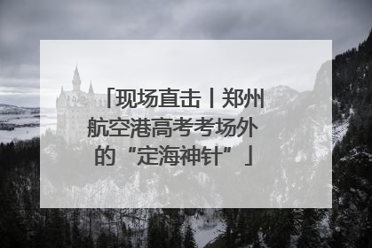 现场直击丨郑州航空港高考考场外的“定海神针”