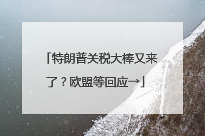 特朗普关税大棒又来了？欧盟等回应→