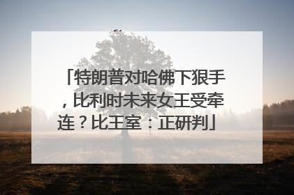特朗普对哈佛下狠手，比利时未来女王受牵连？比王室：正研判