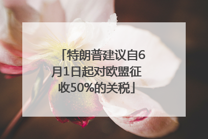 特朗普建议自6月1日起对欧盟征收50%的关税