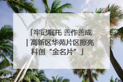 牢记嘱托 善作善成｜高新区华苑片区擦亮科创“金名片”