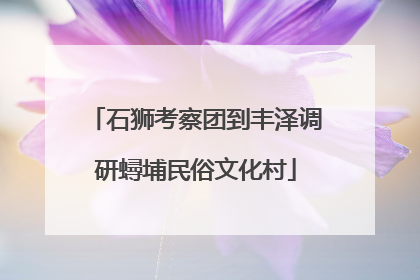 石狮考察团到丰泽调研蟳埔民俗文化村