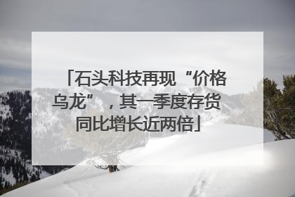 石头科技再现“价格乌龙”，其一季度存货同比增长近两倍