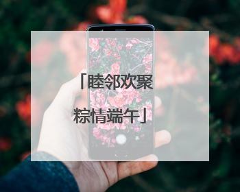 睦邻欢聚 粽情端午