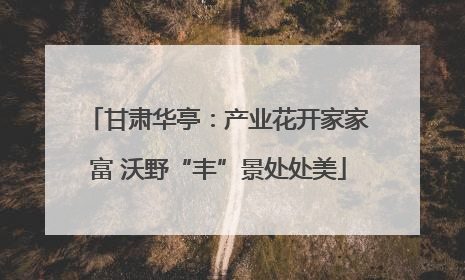 甘肃华亭：产业花开家家富 沃野“丰”景处处美
