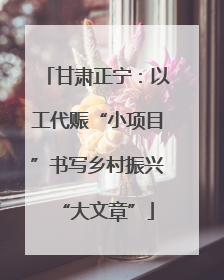 甘肃正宁：以工代赈“小项目”书写乡村振兴“大文章”
