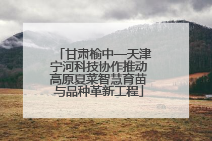 甘肃榆中—天津宁河科技协作推动高原夏菜智慧育苗与品种革新工程