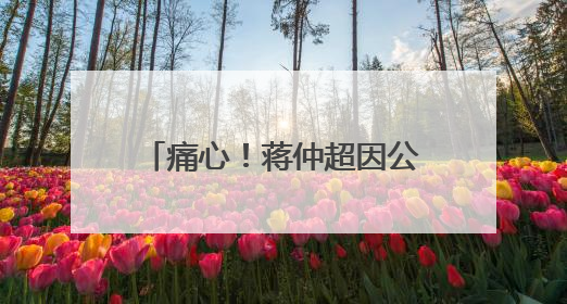 痛心！蒋仲超因公牺牲，年仅41岁