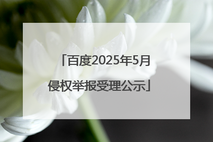 百度2025年5月侵权举报受理公示