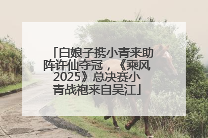 白娘子携小青来助阵许仙夺冠，《乘风2025》总决赛小青战袍来自吴江