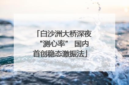 白沙洲大桥深夜“测心率” 国内首创稳态激振法
