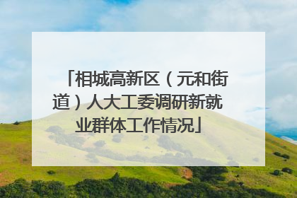 相城高新区（元和街道）人大工委调研新就业群体工作情况