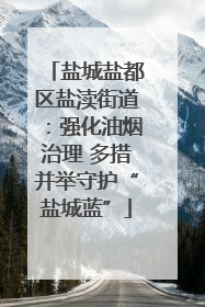 盐城盐都区盐渎街道：强化油烟治理 多措并举守护“盐城蓝”