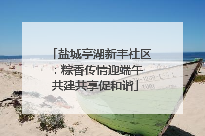盐城亭湖新丰社区：粽香传情迎端午 共建共享促和谐