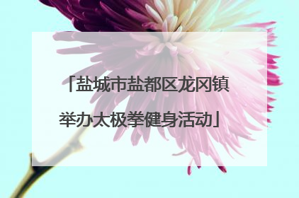 盐城市盐都区龙冈镇举办太极拳健身活动