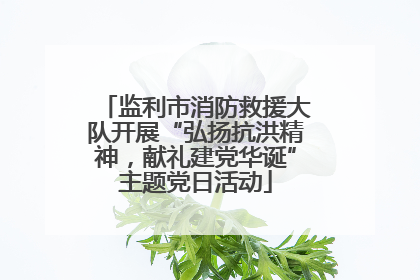 监利市消防救援大队开展“弘扬抗洪精神，献礼建党华诞”主题党日活动