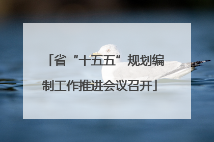 省“十五五”规划编制工作推进会议召开