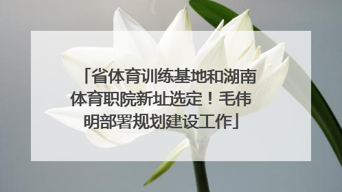 省体育训练基地和湖南体育职院新址选定！毛伟明部署规划建设工作