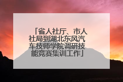 省人社厅、市人社局到湖北东风汽车技师学院调研技能竞赛集训工作