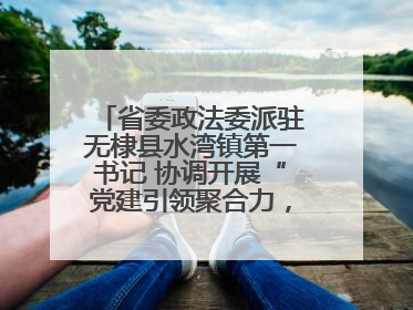 省委政法委派驻无棣县水湾镇第一书记 协调开展“党建引领聚合力，健康义诊惠乡亲”义诊活动