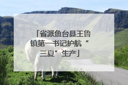 省派鱼台县王鲁镇第一书记护航“三夏”生产