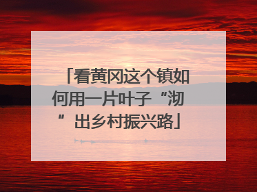 看黄冈这个镇如何用一片叶子“沏”出乡村振兴路