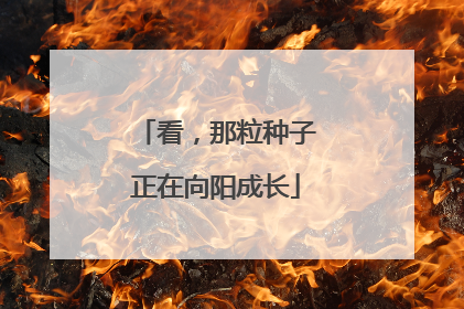 看，那粒种子正在向阳成长