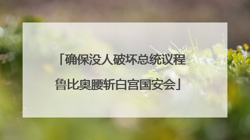 确保没人破坏总统议程 鲁比奥腰斩白宫国安会