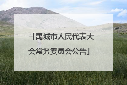 禹城市人民代表大会常务委员会公告