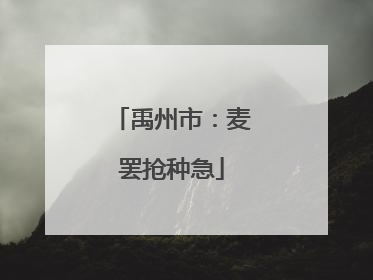 禹州市：麦罢抢种急