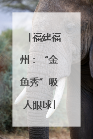 福建福州：“金鱼秀”吸人眼球